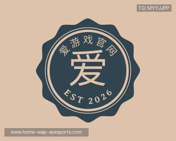 了解AYX